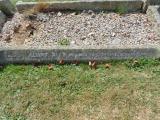 image of grave number 583575